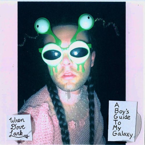 A Boy's Guide To My Galaxy