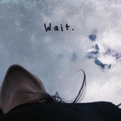 WAIT. (feat. Chelsea Wolfe) - Single