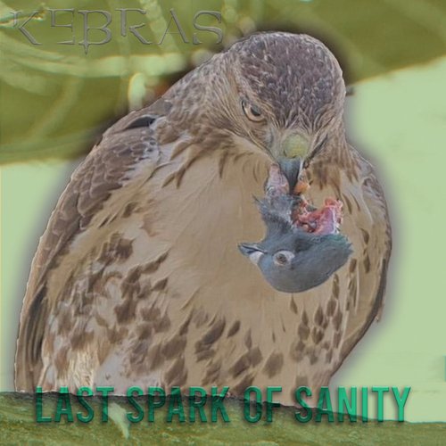 Last Spark of Sanity