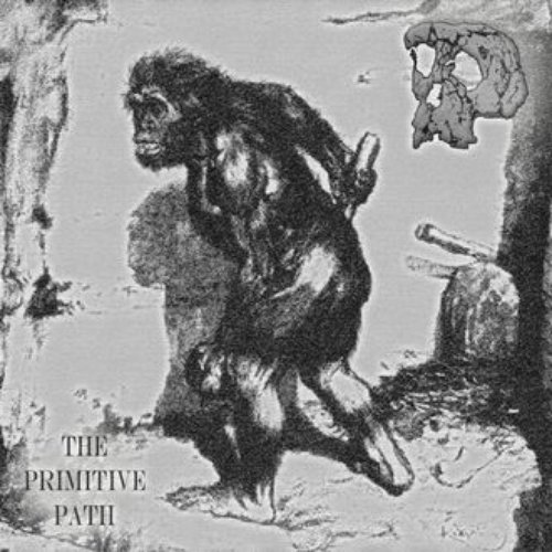 The Primitive Path