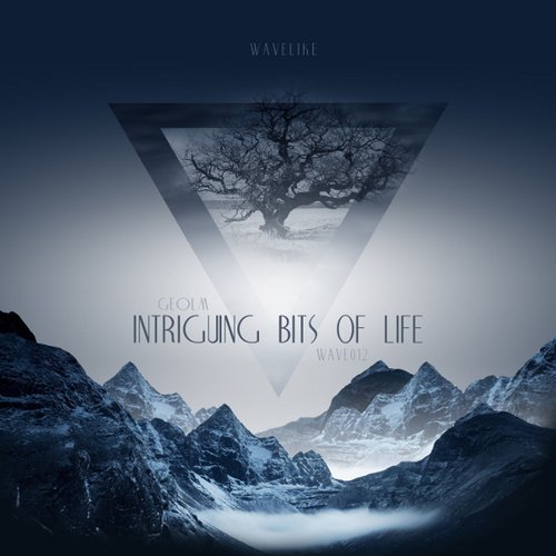 wave012 ~ Geolm ~ Intriguing bits of life
