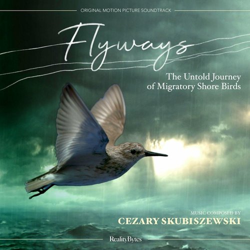 Flyways: The Untold Journey of Migratory Shore Birds (Original Motion Picture Soundtrack)