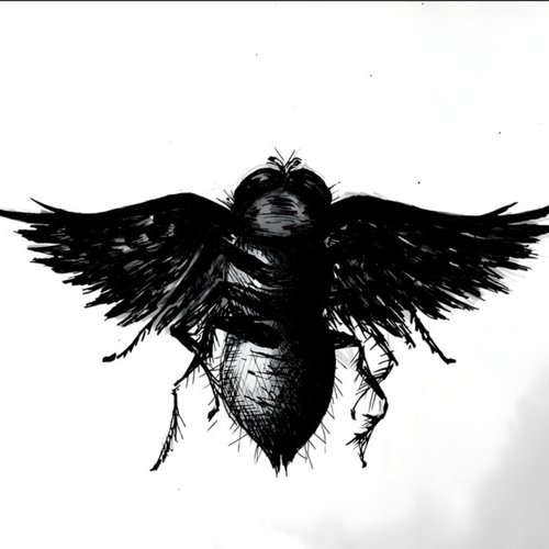 Fly