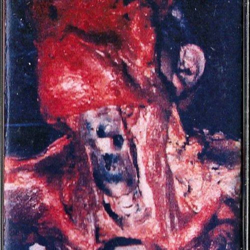 Feast on the Flesh of the Dead