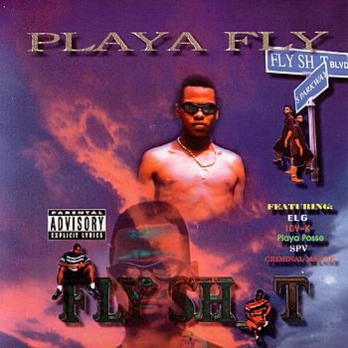 Fly Shit