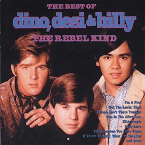 Rebel Kind: the Best of Dino, Desi and Billy