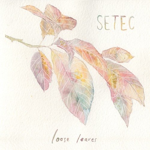 Loose Leaves - Single