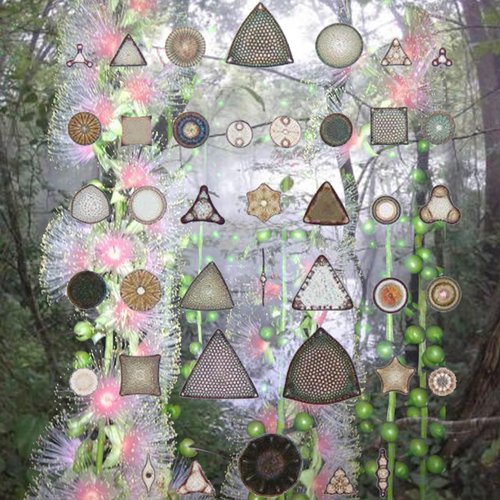archive snippets 20.9.2023 - Single