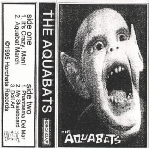 The Aquabats