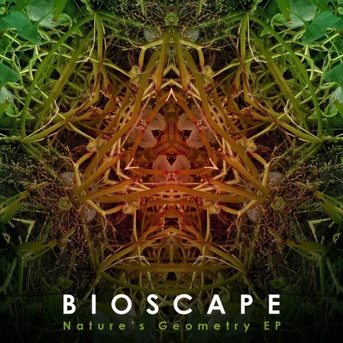 Nature's Geometry EP