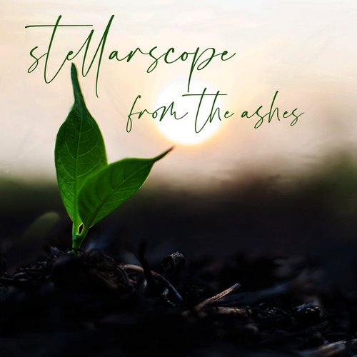 From The Ashes