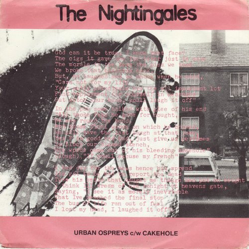 Urban Ospreys c/w Cakehole