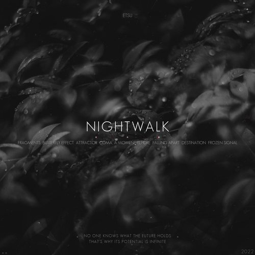 Nightwalk