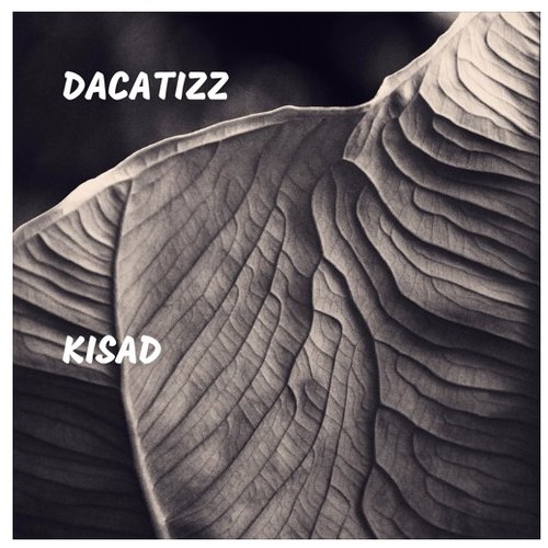 Kisad