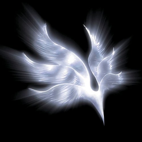 bump of chicken orbital period bump of chicken orbital period