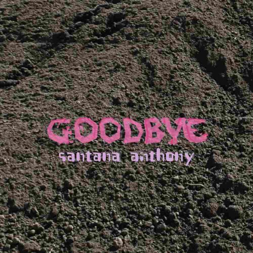 Goodbye - Single