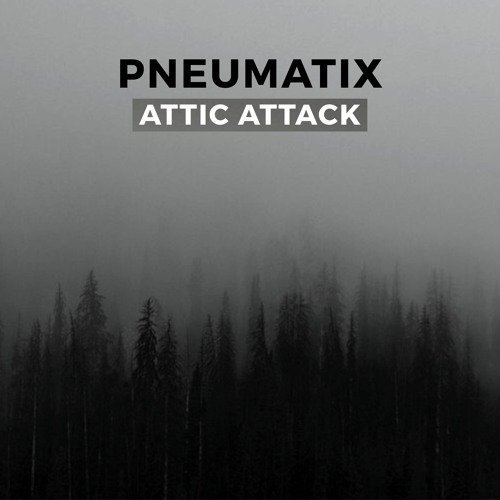 Attic Attack