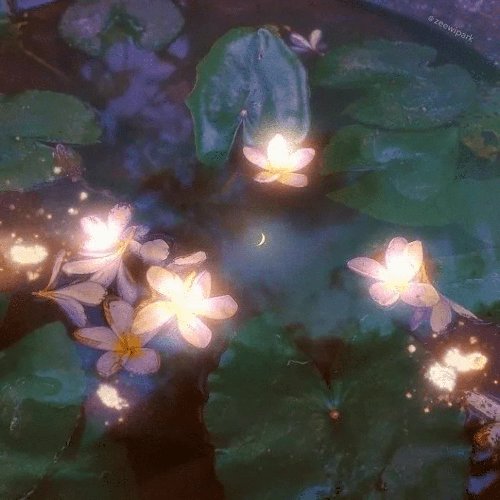 Afternoon Tea with the Butterflies