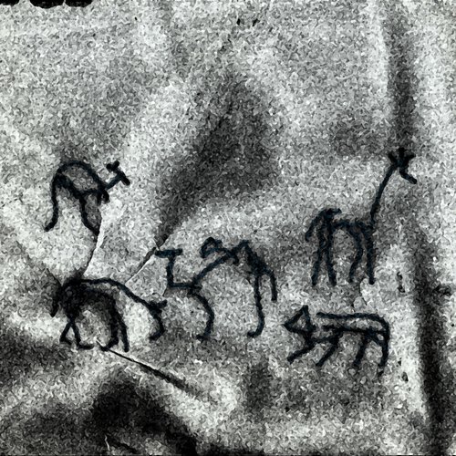 Creative Vision - Single