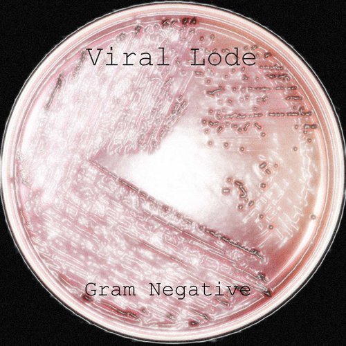 Gram Negative