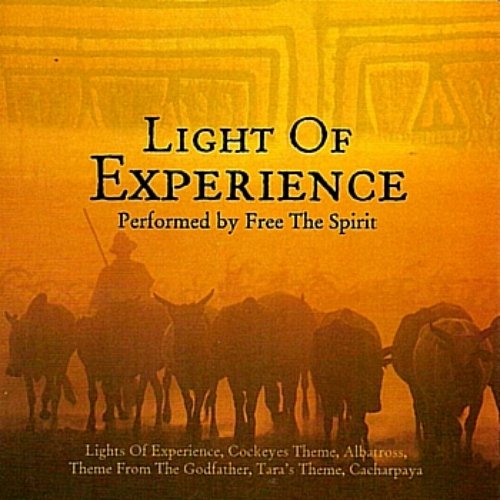 Light of Experience