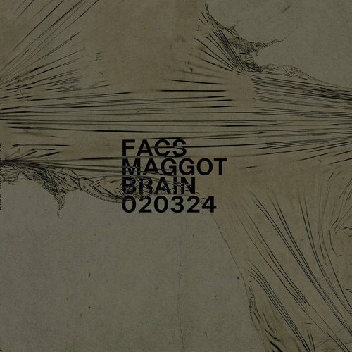 Maggot Brain 020324