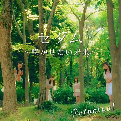 セダム～咲かせたい未来～