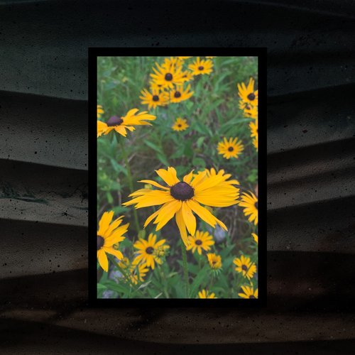Garden Lullabies