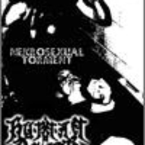 Nekrosexual Torment
