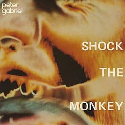 Shock The Monkey