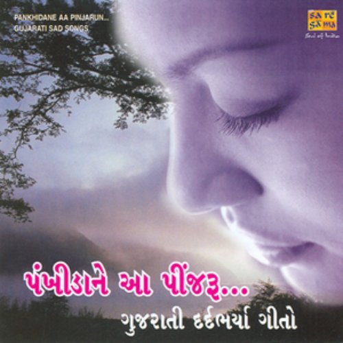 PANKHIDANE AA PINJARUN.....(GUJRAT SAD SONGS)