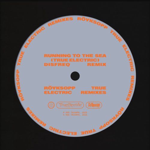 Running To The Sea (Disfreq Remix)