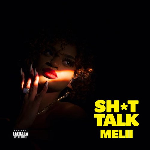 Sh*t Talk