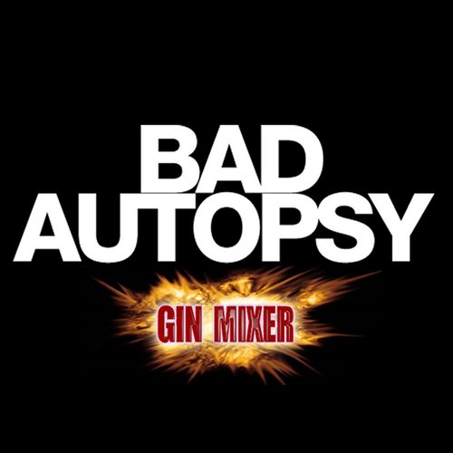 Ginmixer (Scratcha DVA & Jam City Remixes)