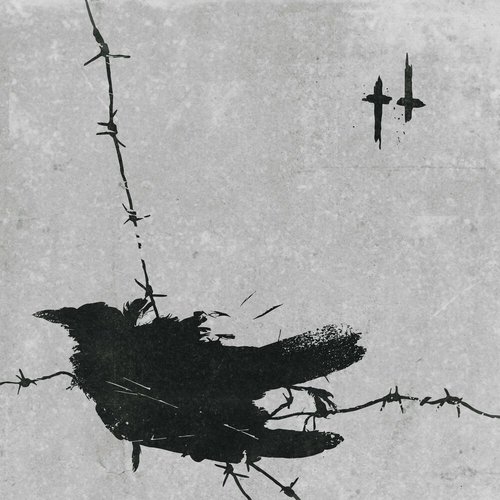 Death Is a Bird Flying