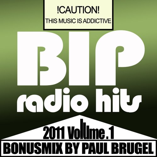 BIP Radio Hits Vol.3