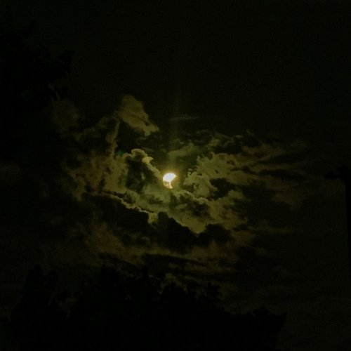 Sonniferi - Single