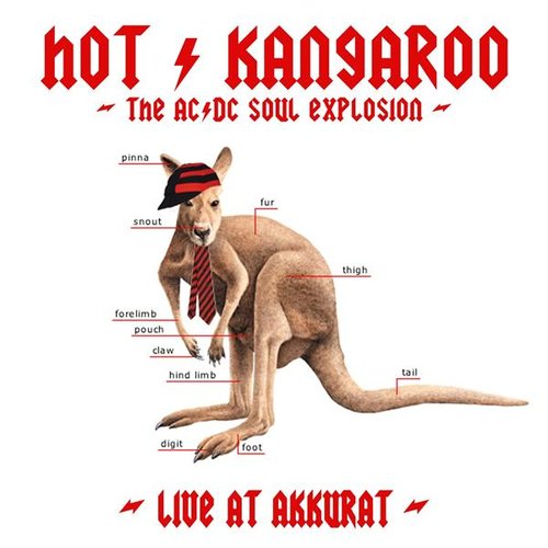 The AC/DC Soul Explosion - Live At Akkurat