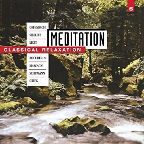 Meditation - Classical Relaxation Vol. 5