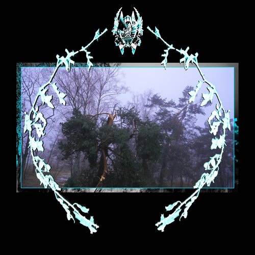 Paradise Tree - EP