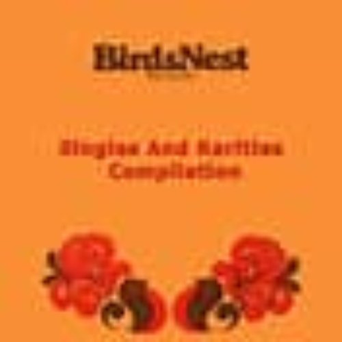 Birdsnest Records: Singles And Rarities Compilation