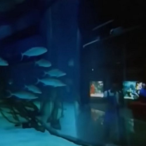 水​下​呼​吸