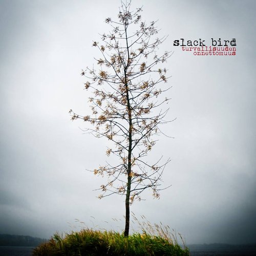 Turvallisuuden Onnettomuus