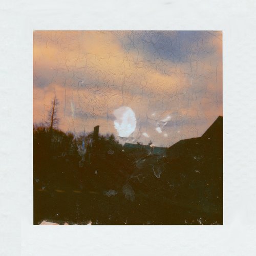 Polaroid