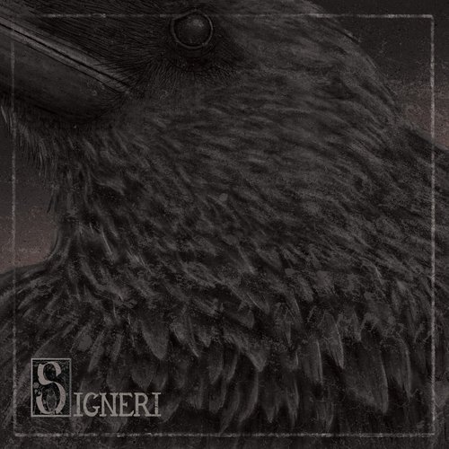 Signeri