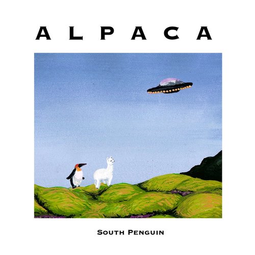 alpaca