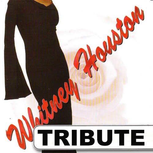 Dubble Trubble Tribute to Whitney Houston - Best of