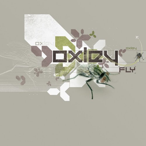 Fly