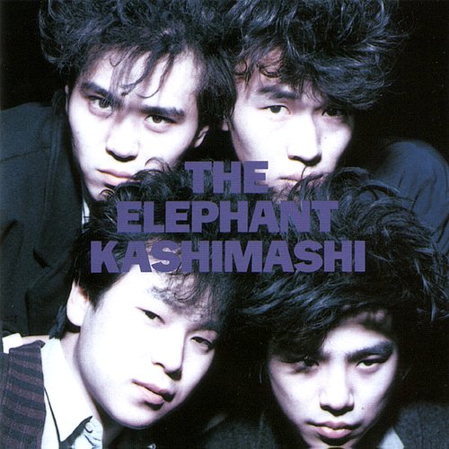 THE ELEPHANT KASHIMASHI