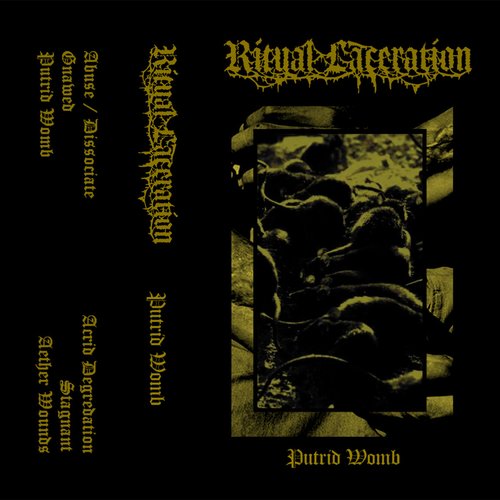 Putrid Womb